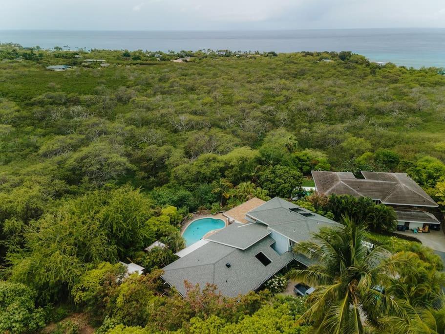 The Pohaku Studio At The Koi House Kailua-Kona Buitenkant foto